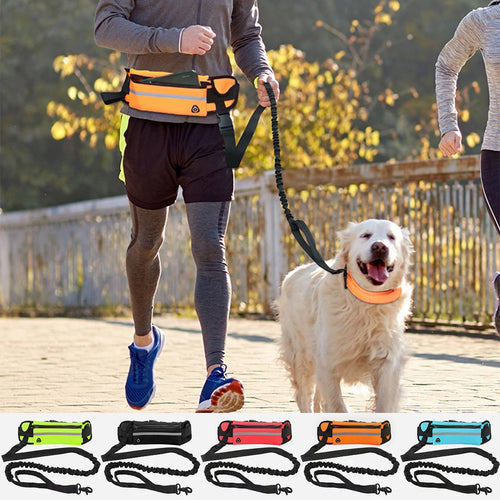 Hands-Free Dog Leash — Waist Belt Leash for Running & Hiking